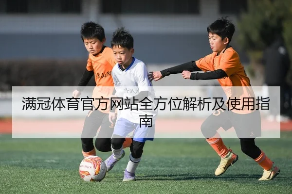 满冠体育官方网站全方位解析及使用指南